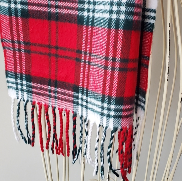 Cashmere Fringed Scarf - Picture 5 of 6